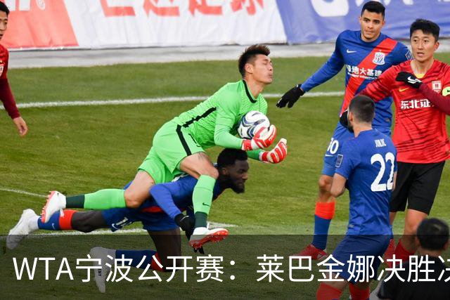 WTA宁波公开赛：莱巴金娜决胜决赛之路 施耐德无奈败北